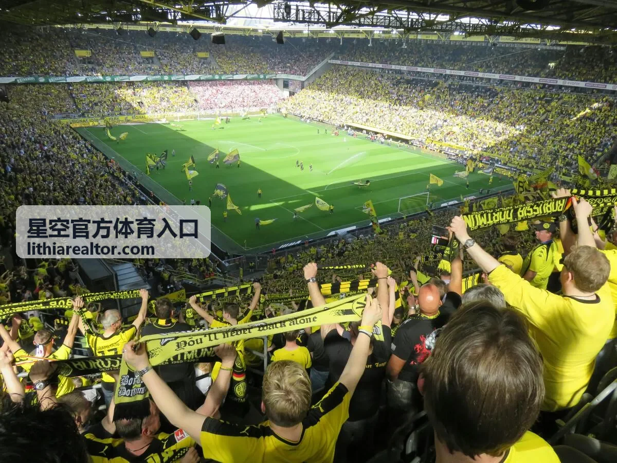 星空官方体育入口首屏赛事氛围图